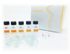 SPEEDTOOLS Plasmid DNA Purification kit