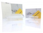 DNA AmpliGel PLUS Master Mix Strips
